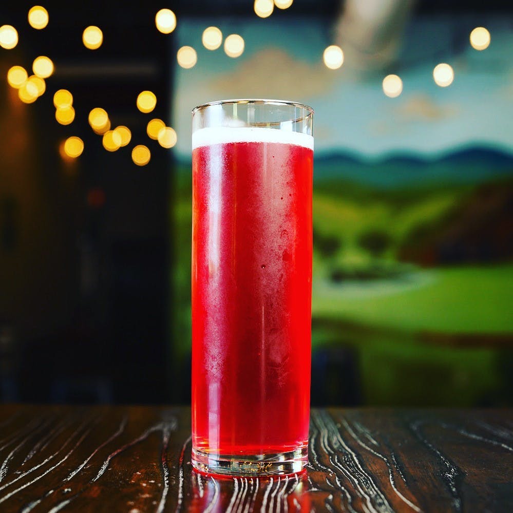 The Bubbler Benchtop Brewing