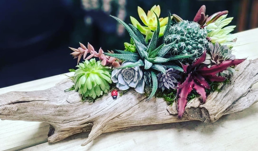 driftwood centerpiece example photo