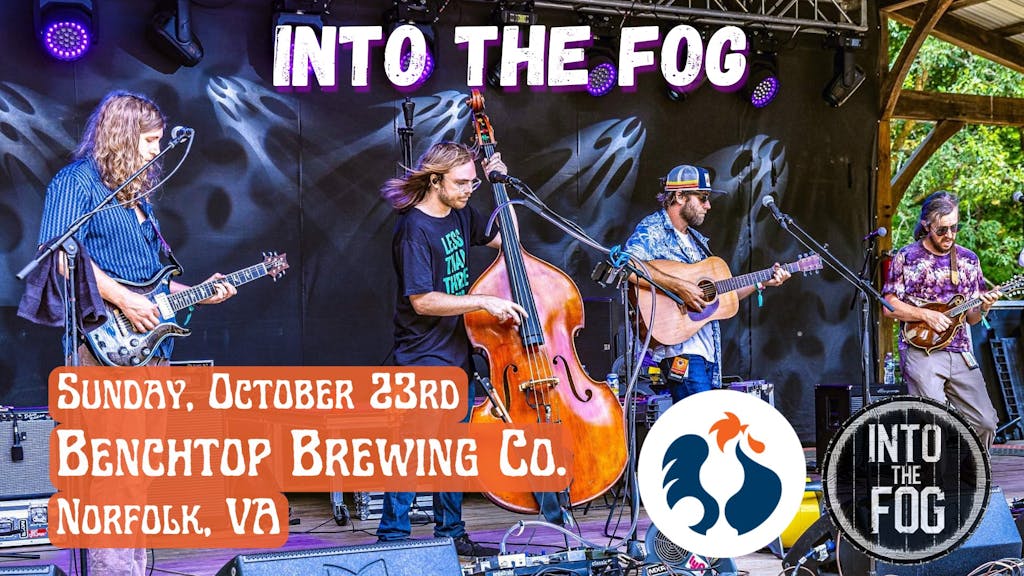 Into the Fog Into the Fog photo