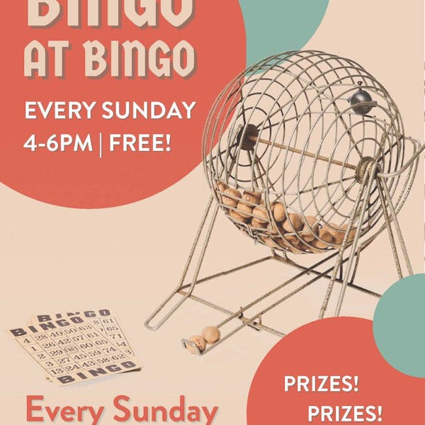 Bingo at Bingo – Every Sunday!