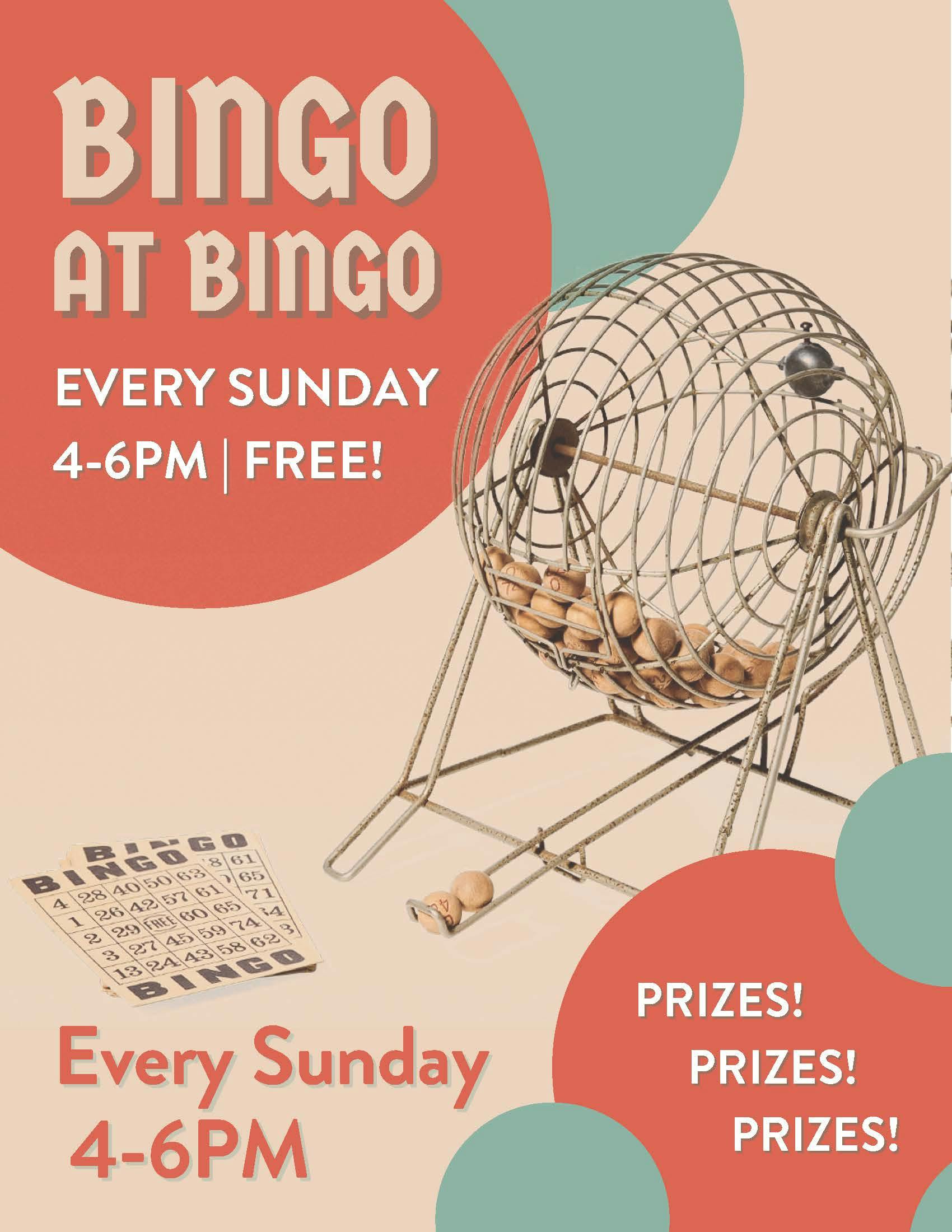 Bingo @ Bingo Website