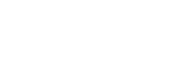 Bingo Beer Co