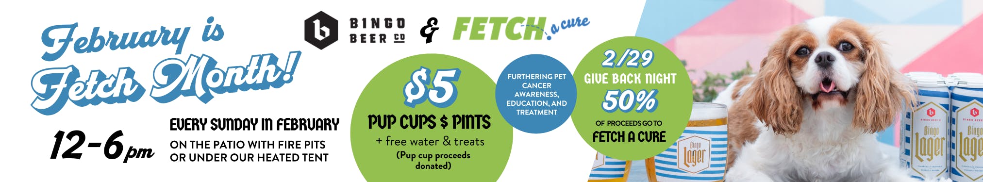 a banner describing Bingo's partnership with Fetch for a Cure - every sunday in february there will be a happy hour for dogs and humans with proceeds from pup cups going to Fetch a Cure funding dog cancer research