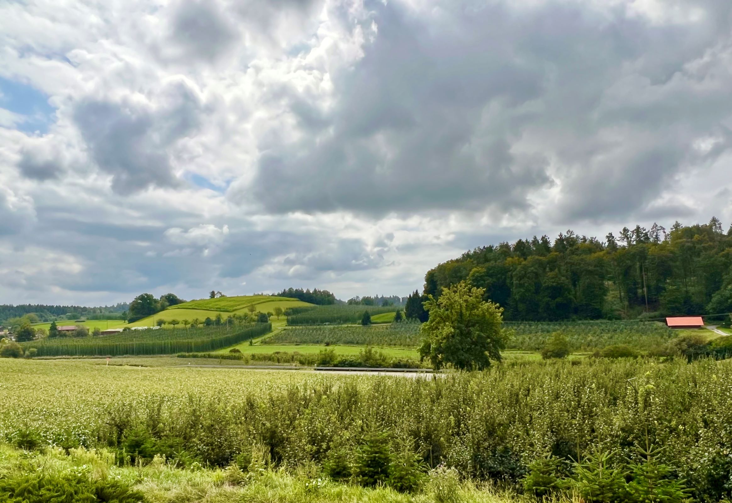 Hops and orchards and fields