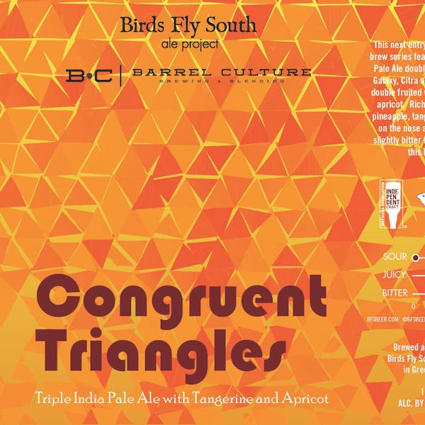 Congruent Triangles