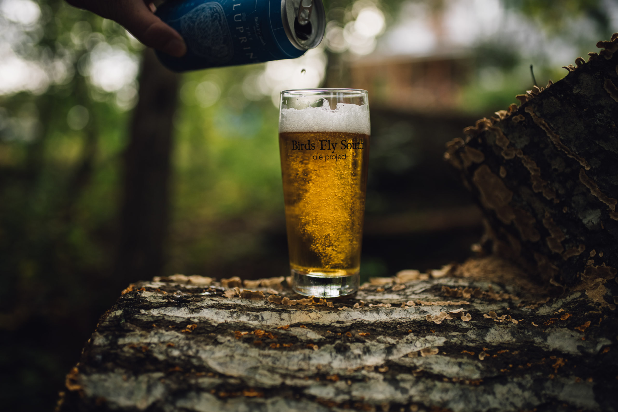 Craft Beer Brewing The Bluprint Ipa Beer Review Birds Fly South Ale Project