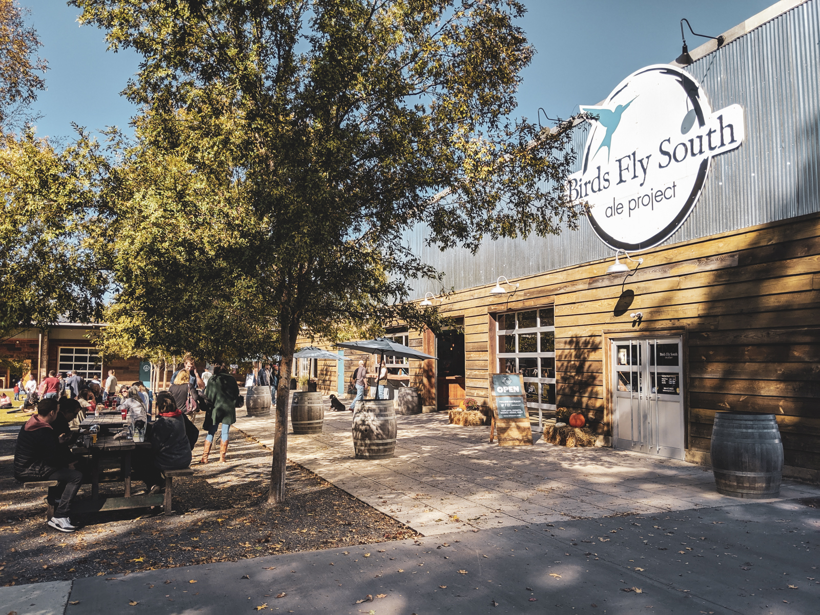 Tasting Room Birds Fly South Ale Project