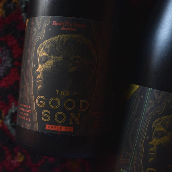 The Good Son