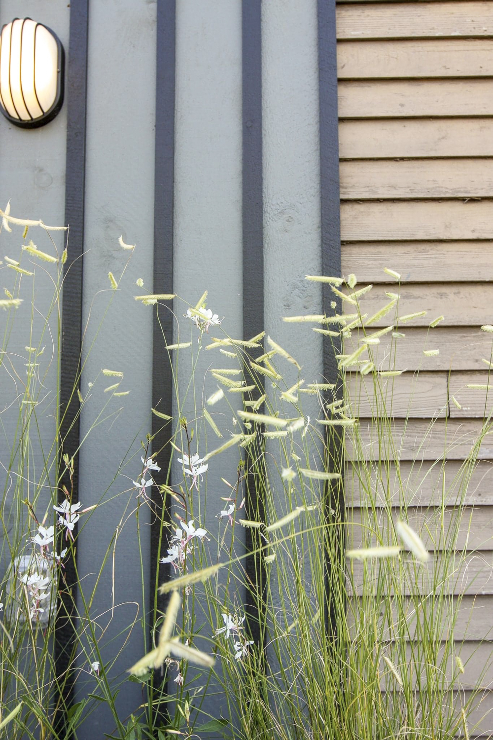 58596769_797754123918421_2724846794407149568_nBissell_Brothers