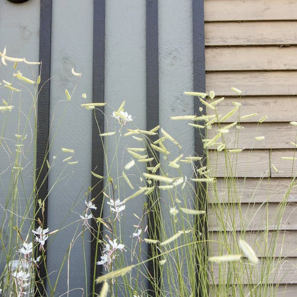 58596769_797754123918421_2724846794407149568_nBissell_Brothers