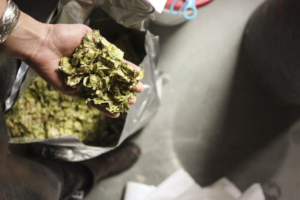 59334932_1376516345844120_1306313740437684224_nBissell_Brothers