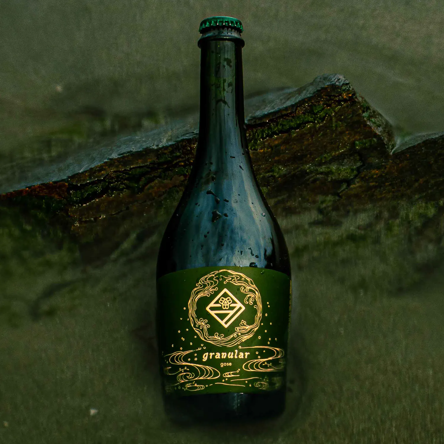 Granular by Bissell Brothers Brewing