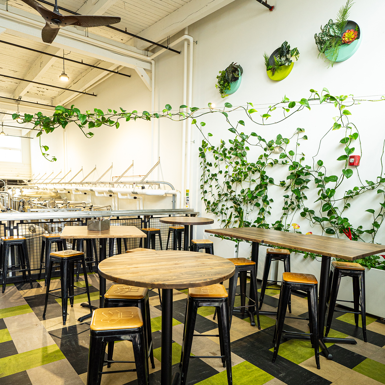 THE GARDEN - MAY 2024-54