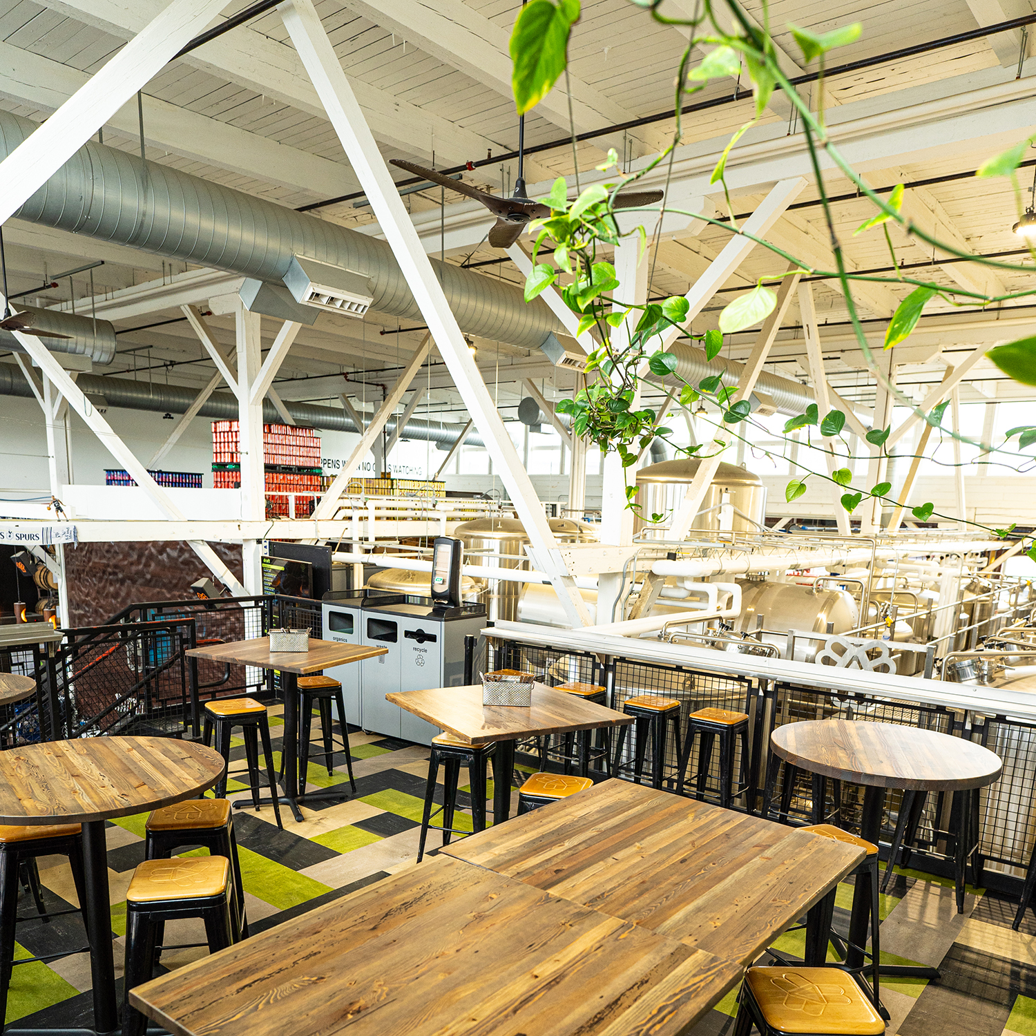 THE GARDEN - MAY 2024-58