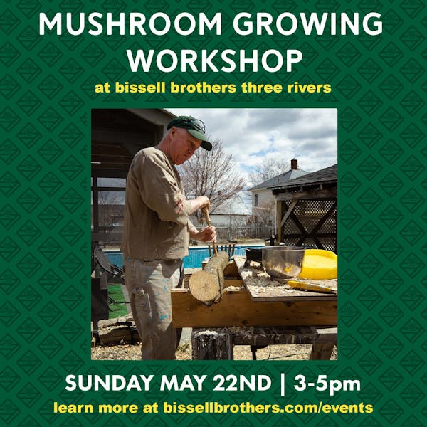 Mushroom Growing Workshop