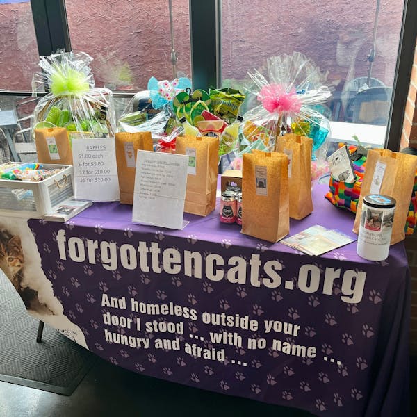 Forgotten Cats Partnership Event