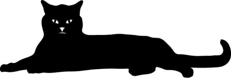 black-cat-laying-2x black-cat-laying-2x