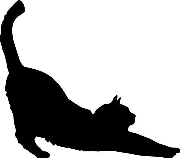 cat-stretching