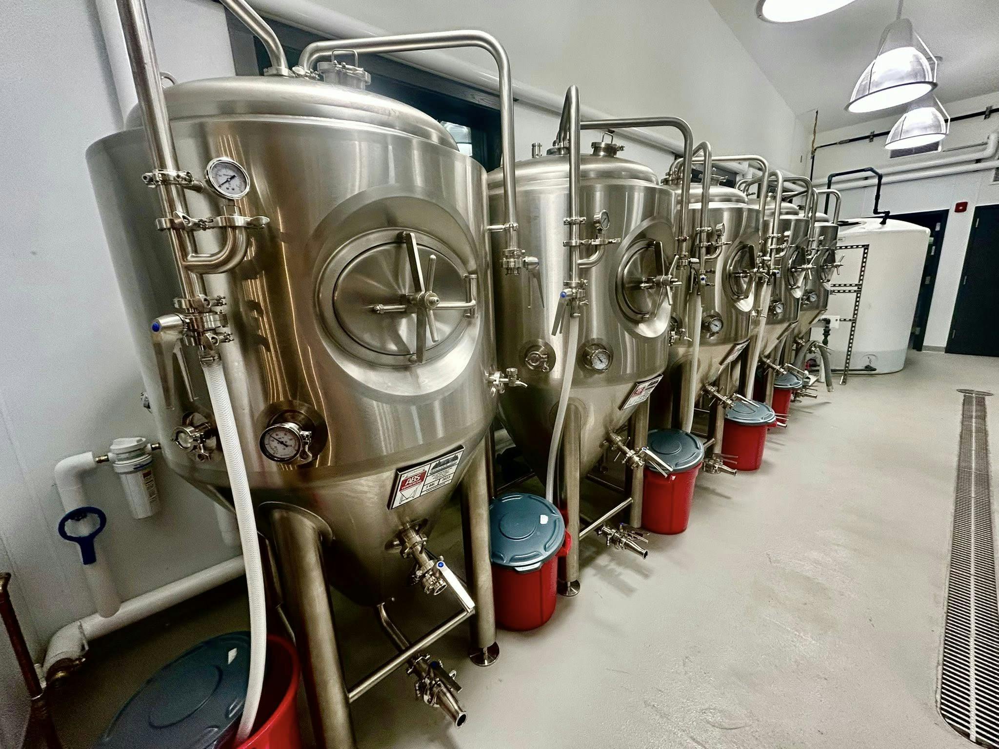 row of 5 bbl fermenters in brewing space