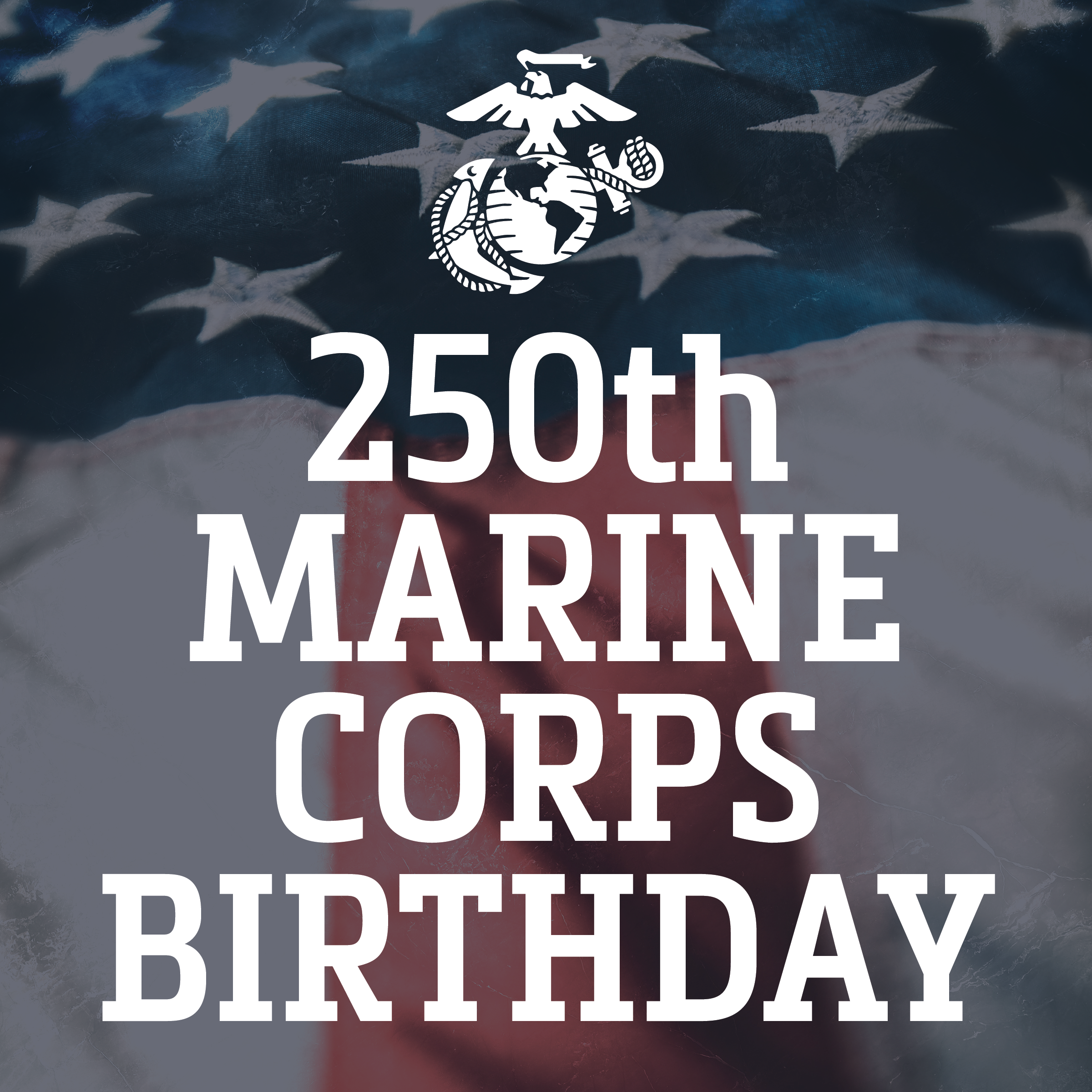 250th Marine Corps Birthday 米海兵隊誕生記念プレート