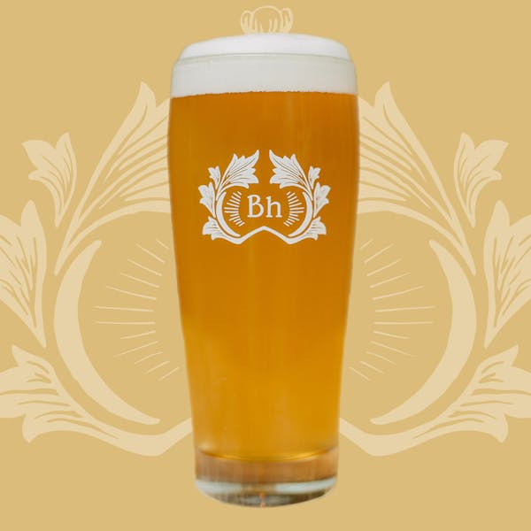 Becher_Gold Pale Ale in Pint Glass