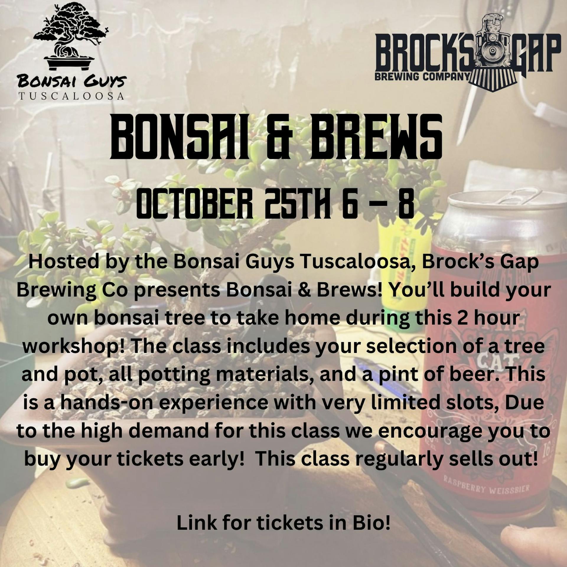 Insta Bonsai & Brews 102523 (1600 × 1600 px)