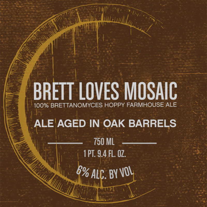 Brett-Loves-Mosaic
