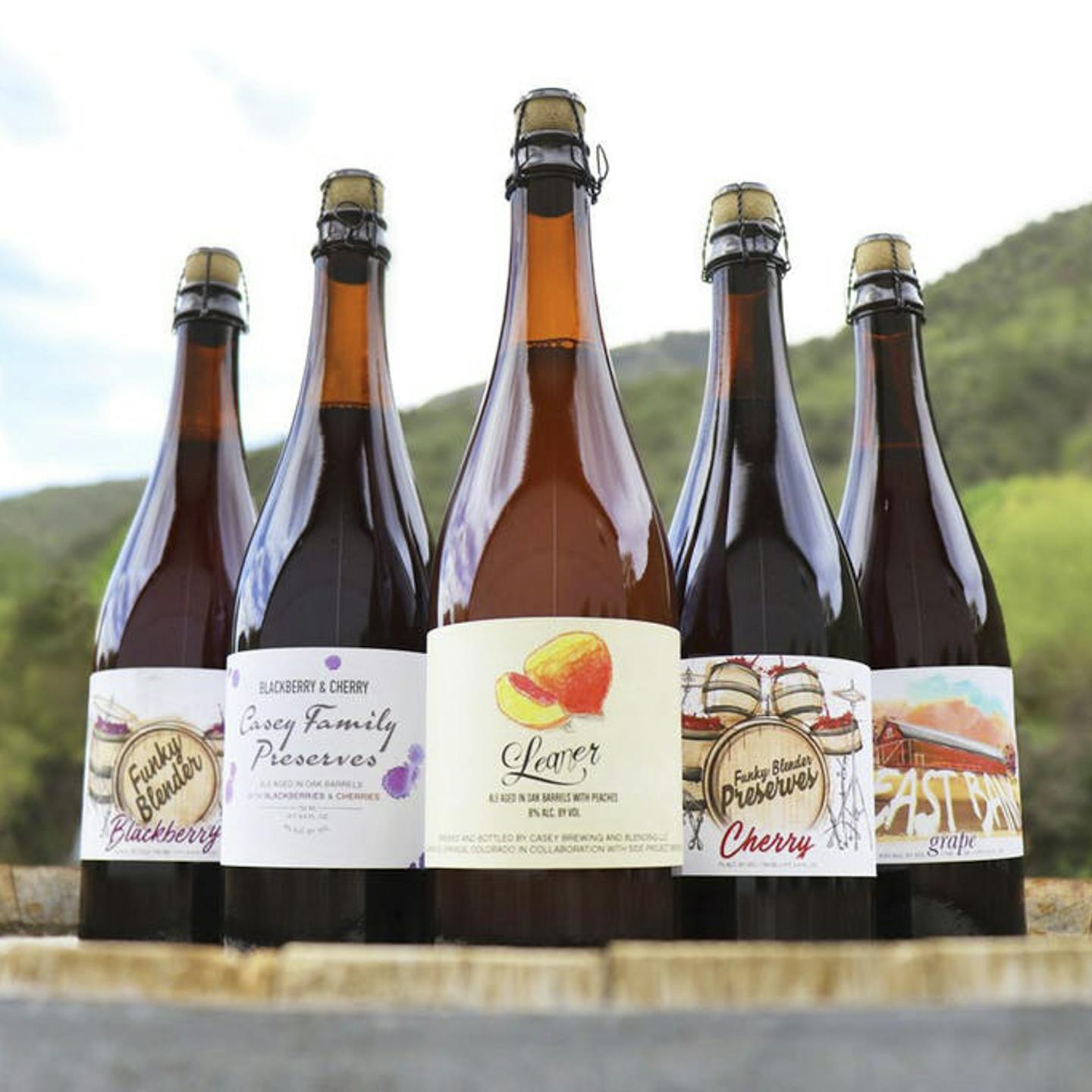 Fruited sour beers by Casey Brewing in Bottles