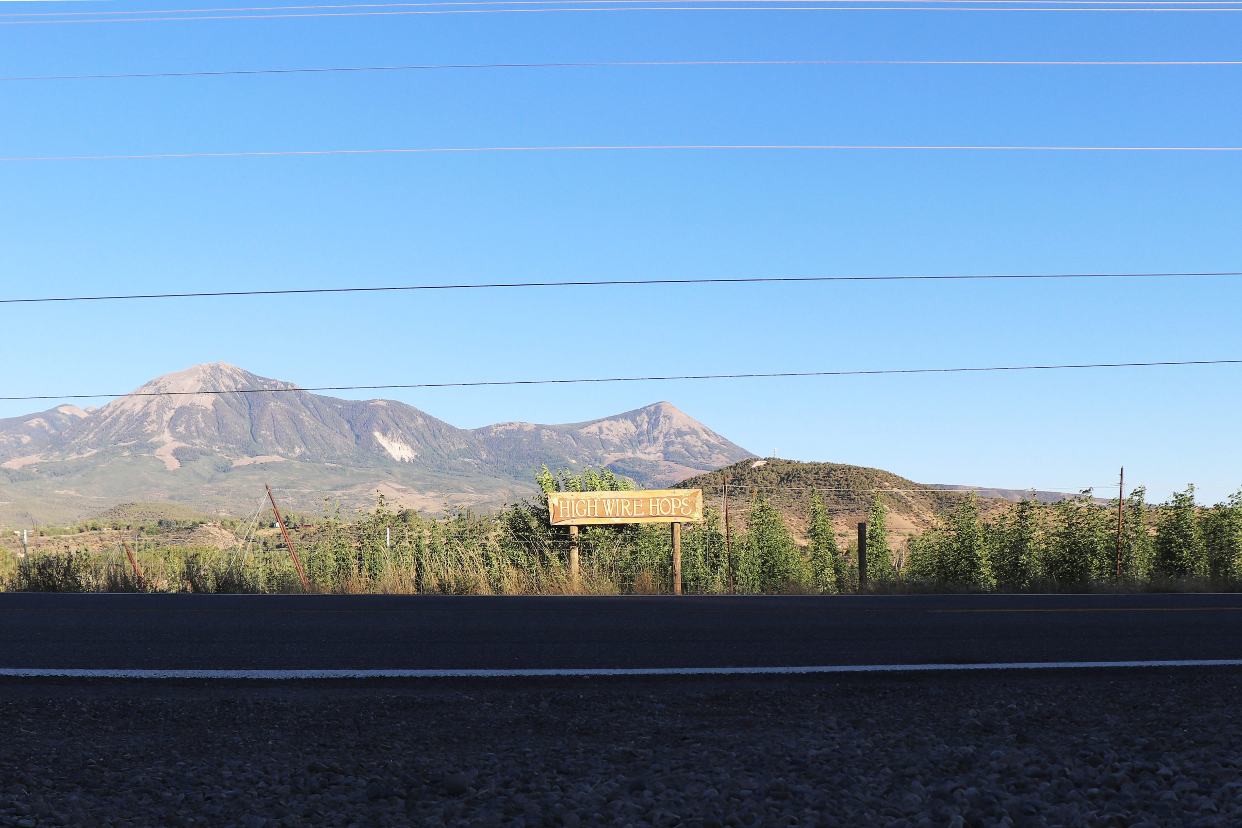 PHOTO ESSAY | High Wire Hops