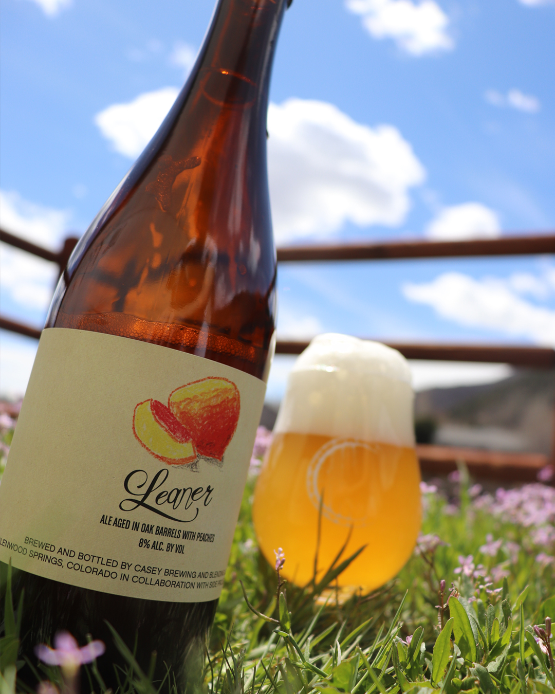 Leaner, Casey, Side Project