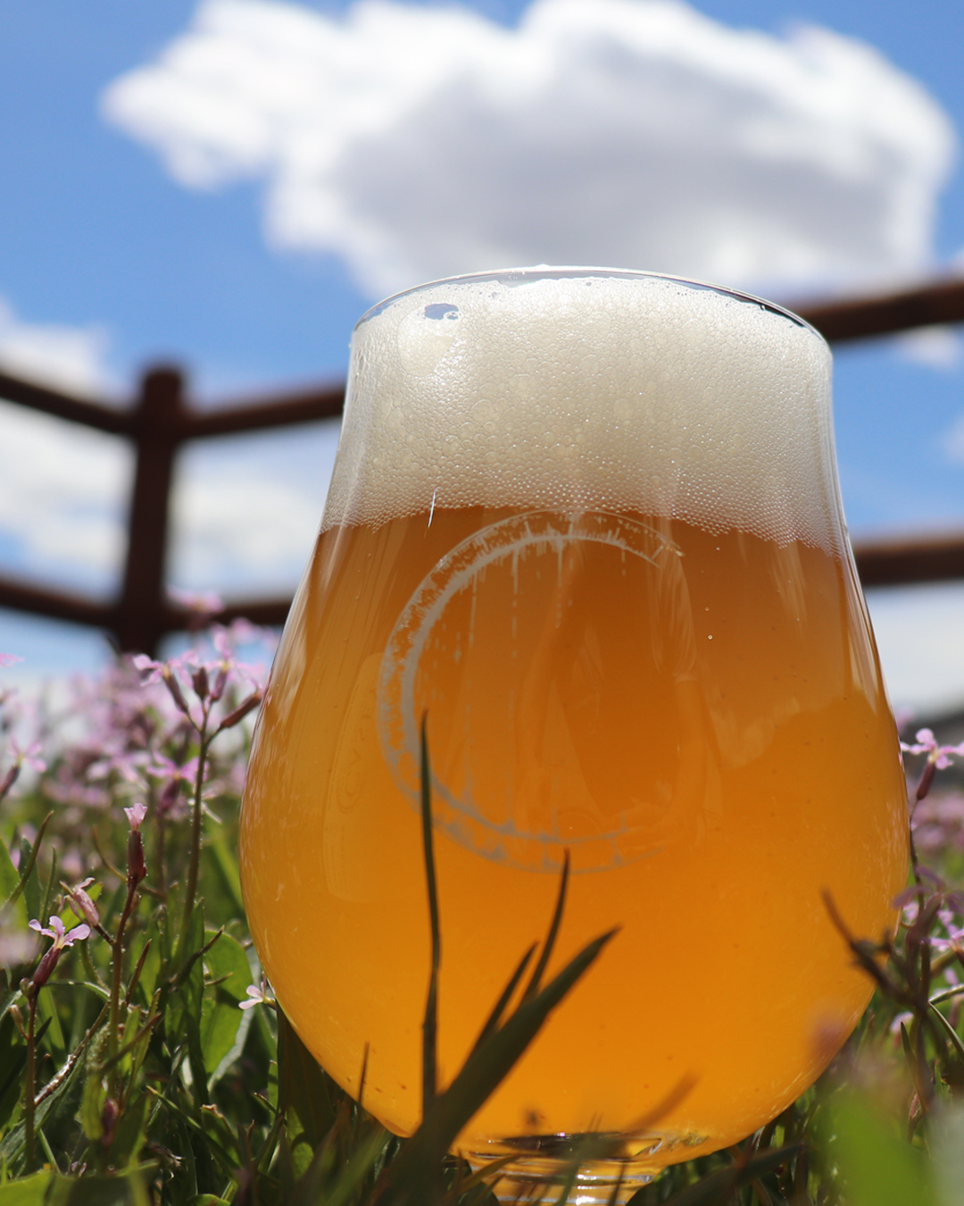 Leaner, Casey, Side Project