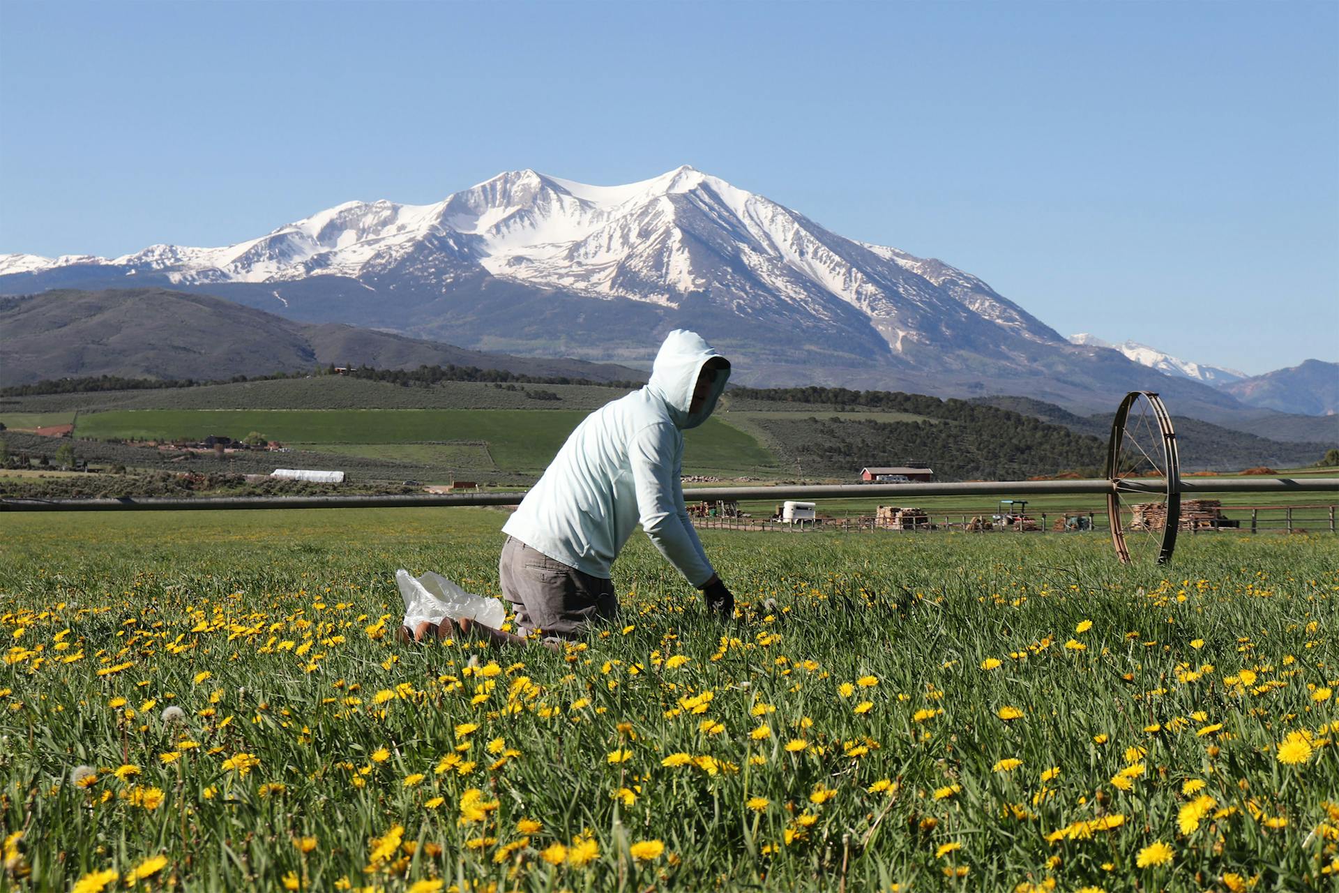 Sopris