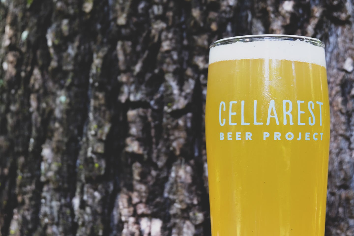 CELL-Beerglass1 Cellarest Beers with bark