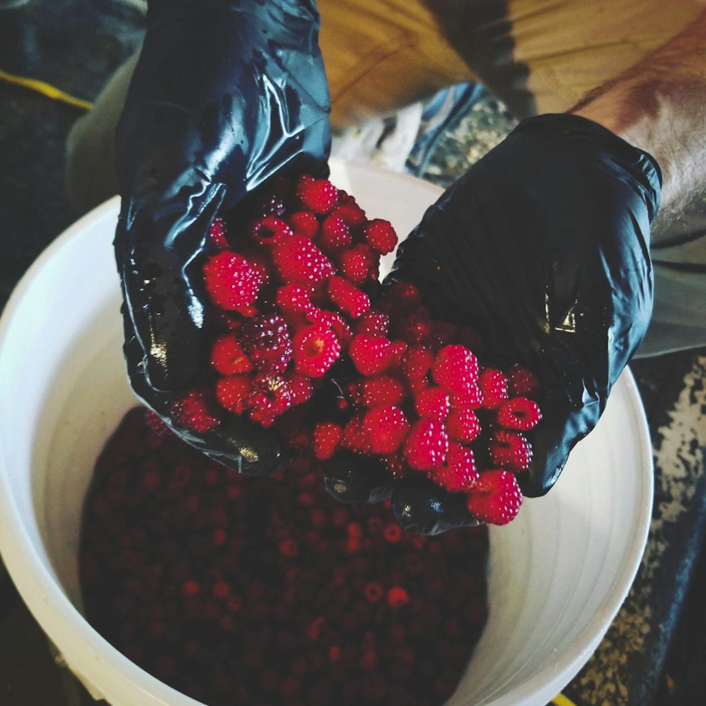 Fresh berries