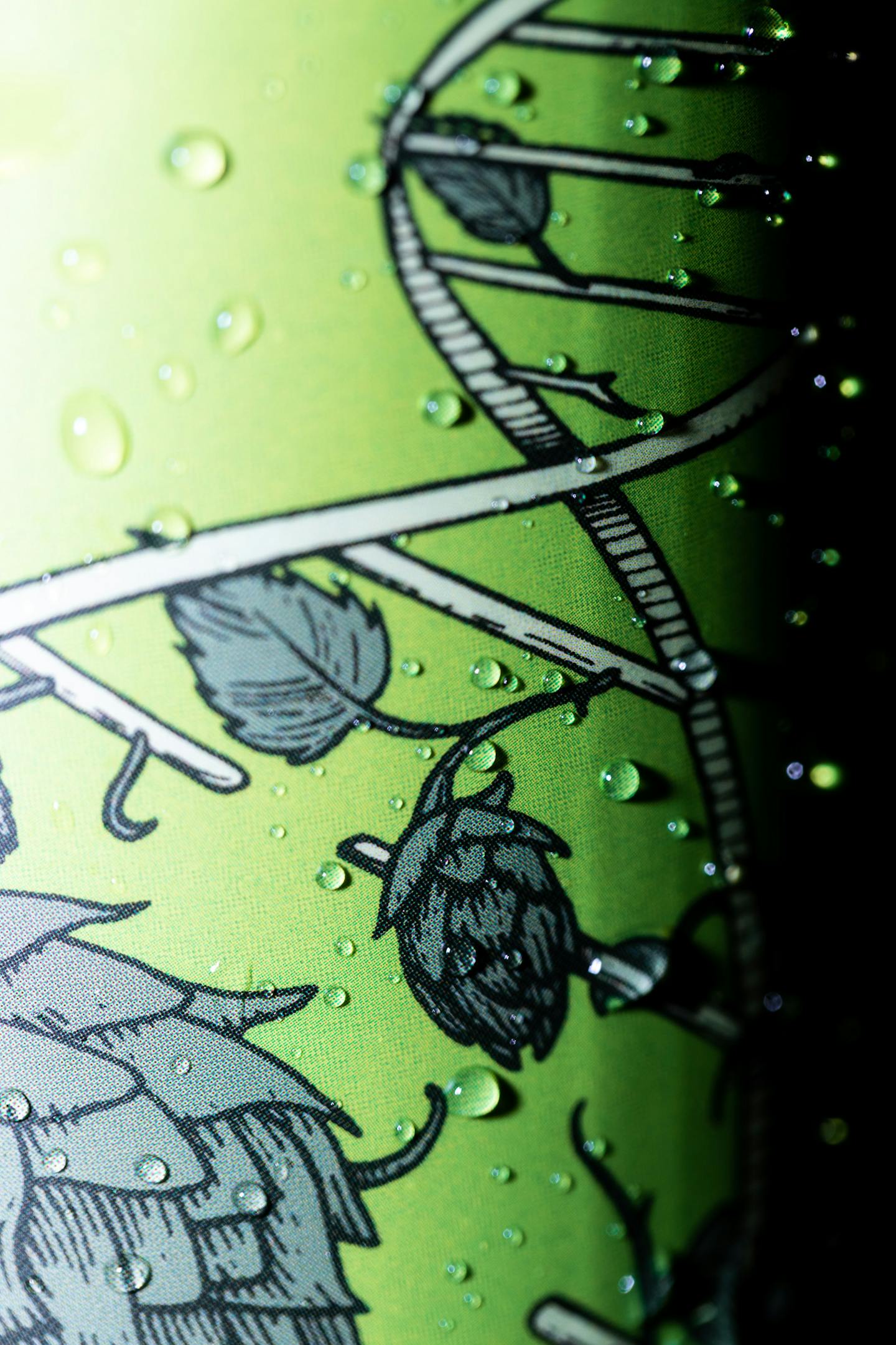 photo of Rare Trait IPA can