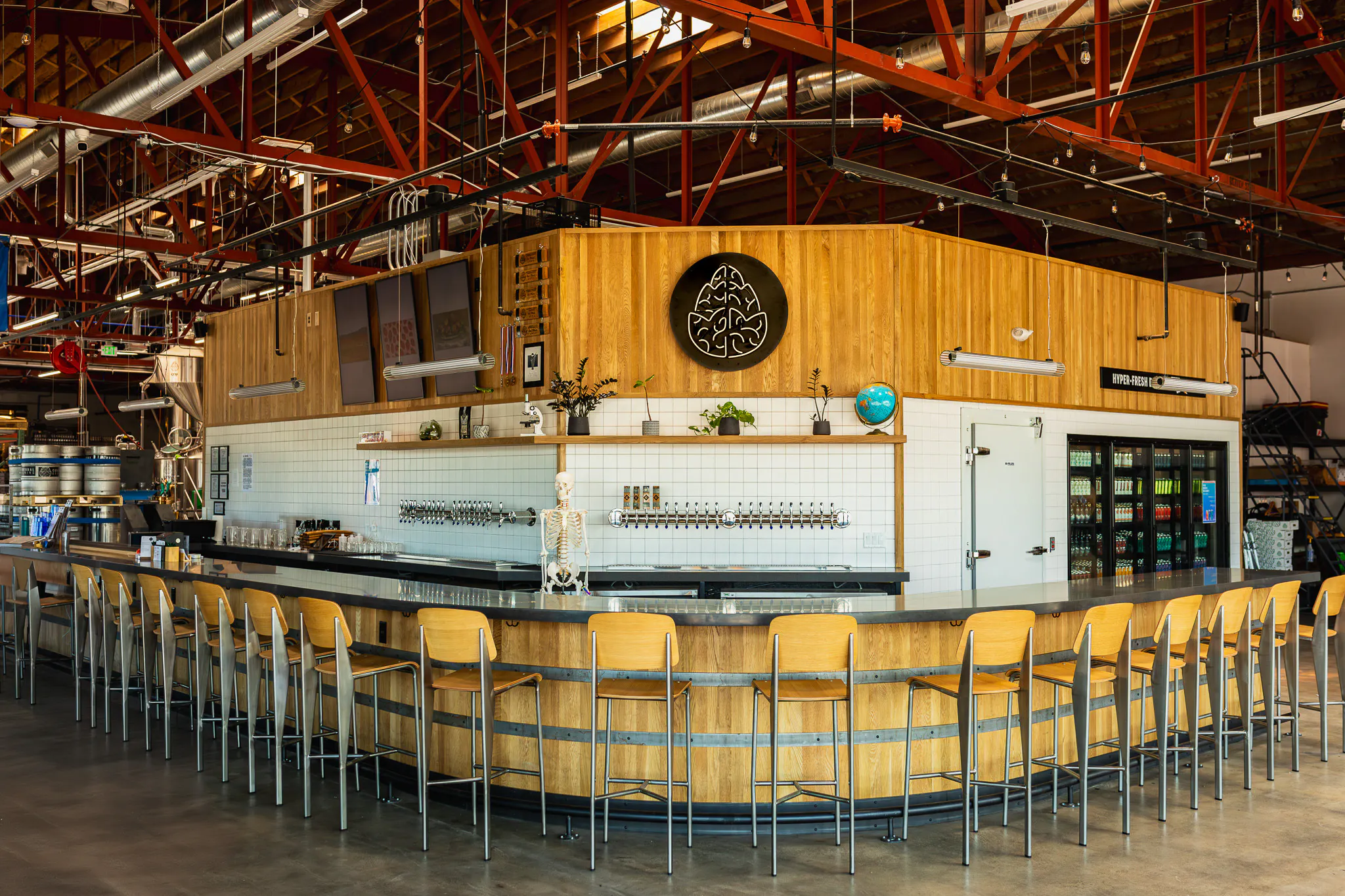 Aurora Arts | Cerebral Brewing