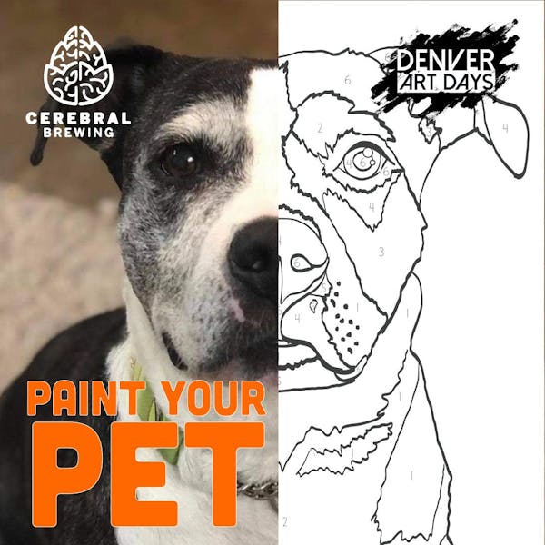 Paint Your Pet Night