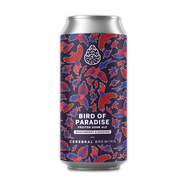 Bird of Paradise
