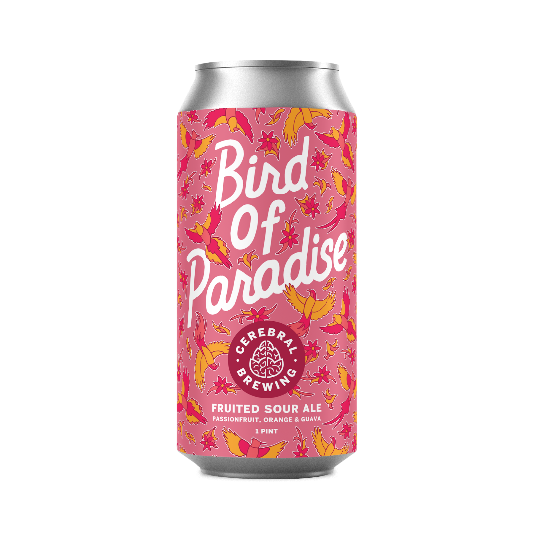 Image or graphic for Bird of Paradise