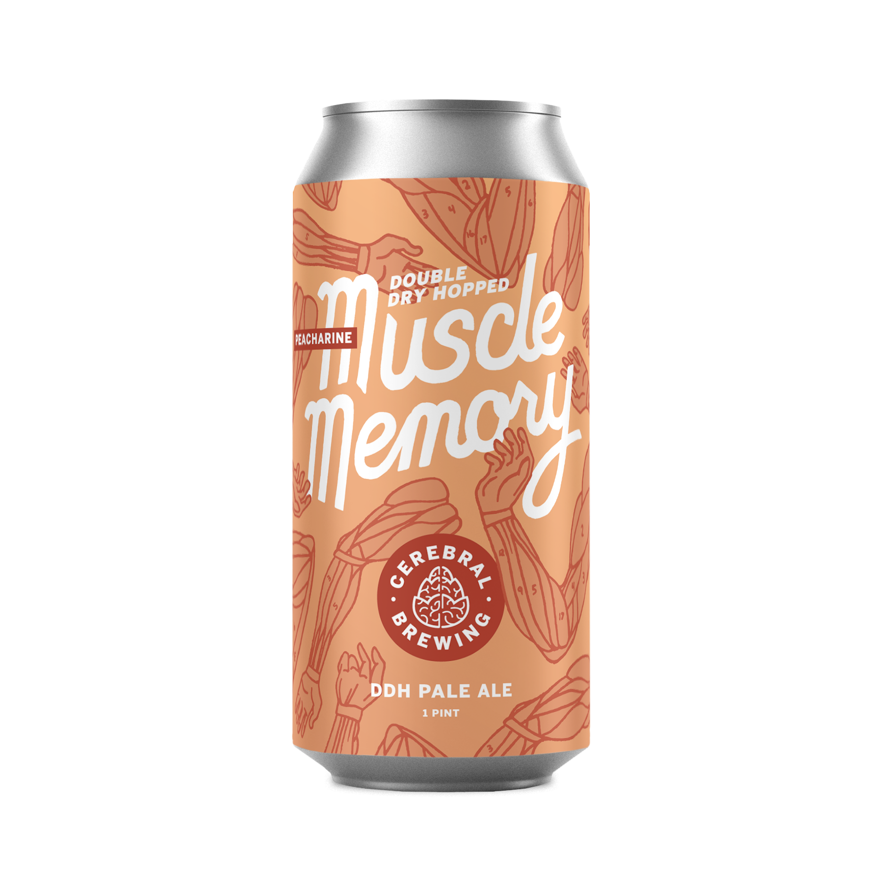 Image or graphic for Peacharine DDH Muscle Memory
