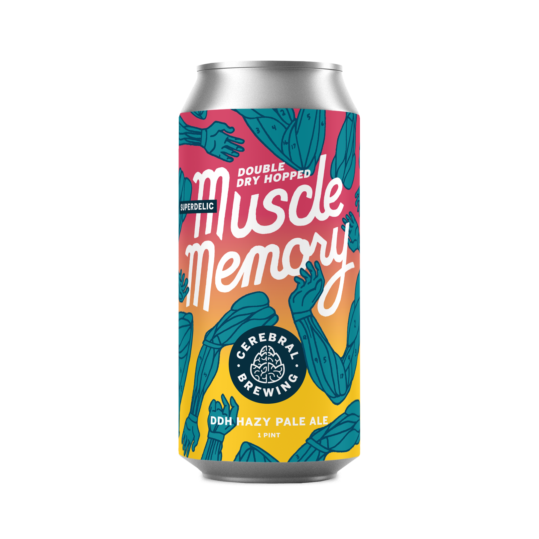 Image or graphic for DDH Superdelic Muscle Memory
