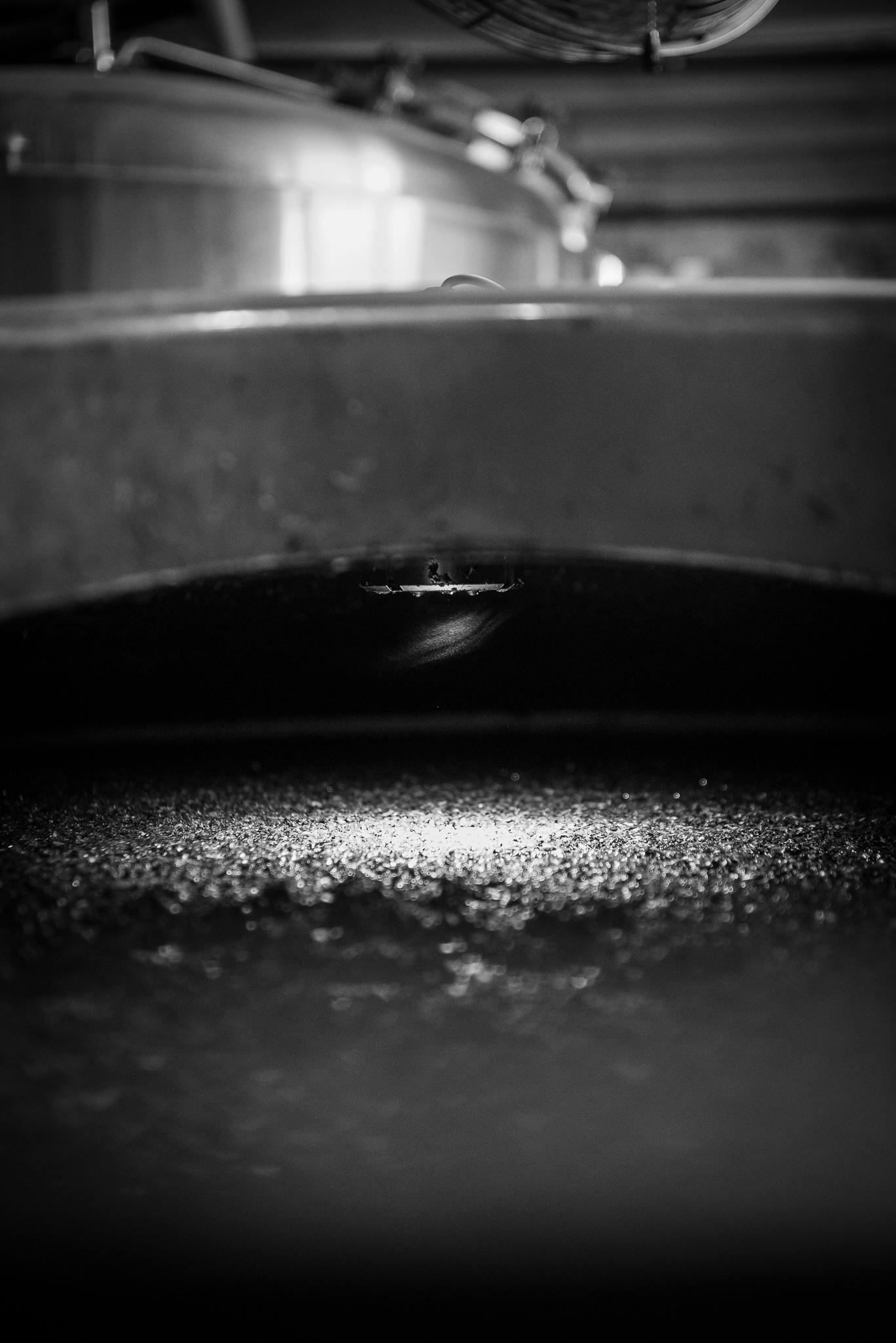 photo of brewing