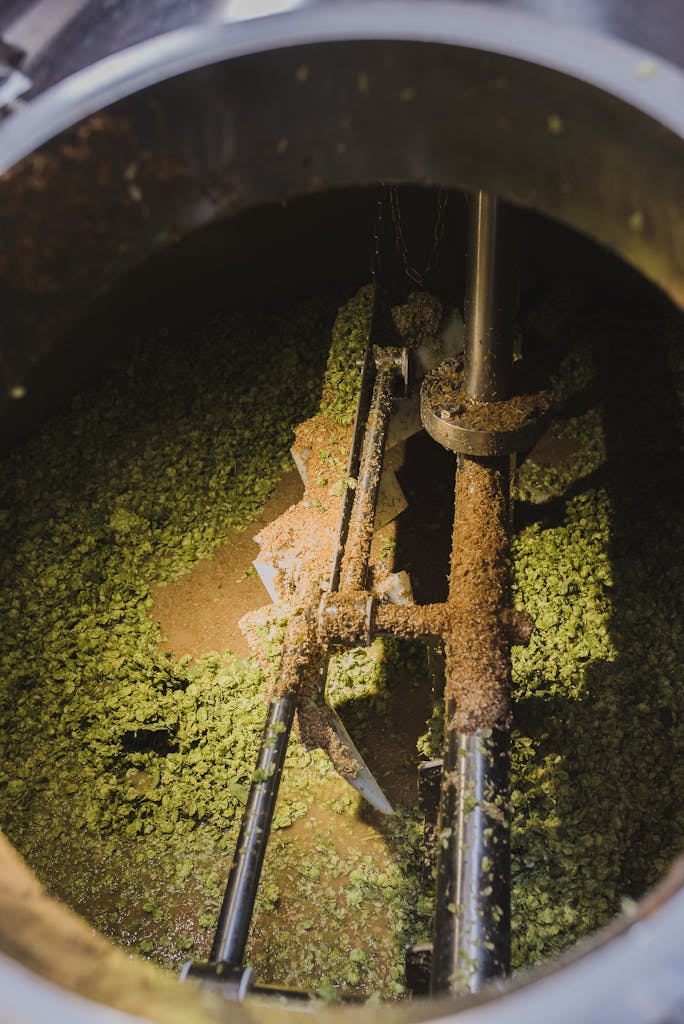 Mash with whole cone hops