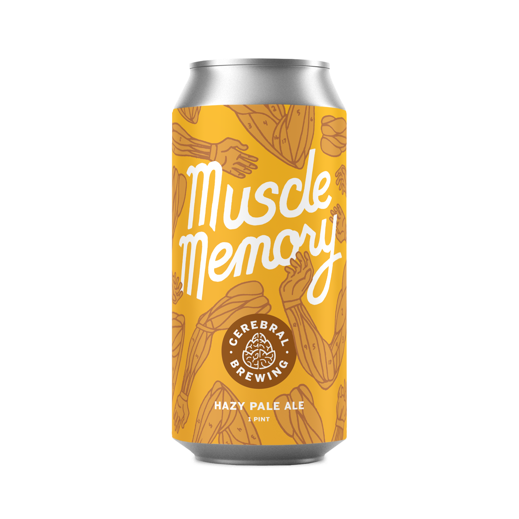 Muscle Memory