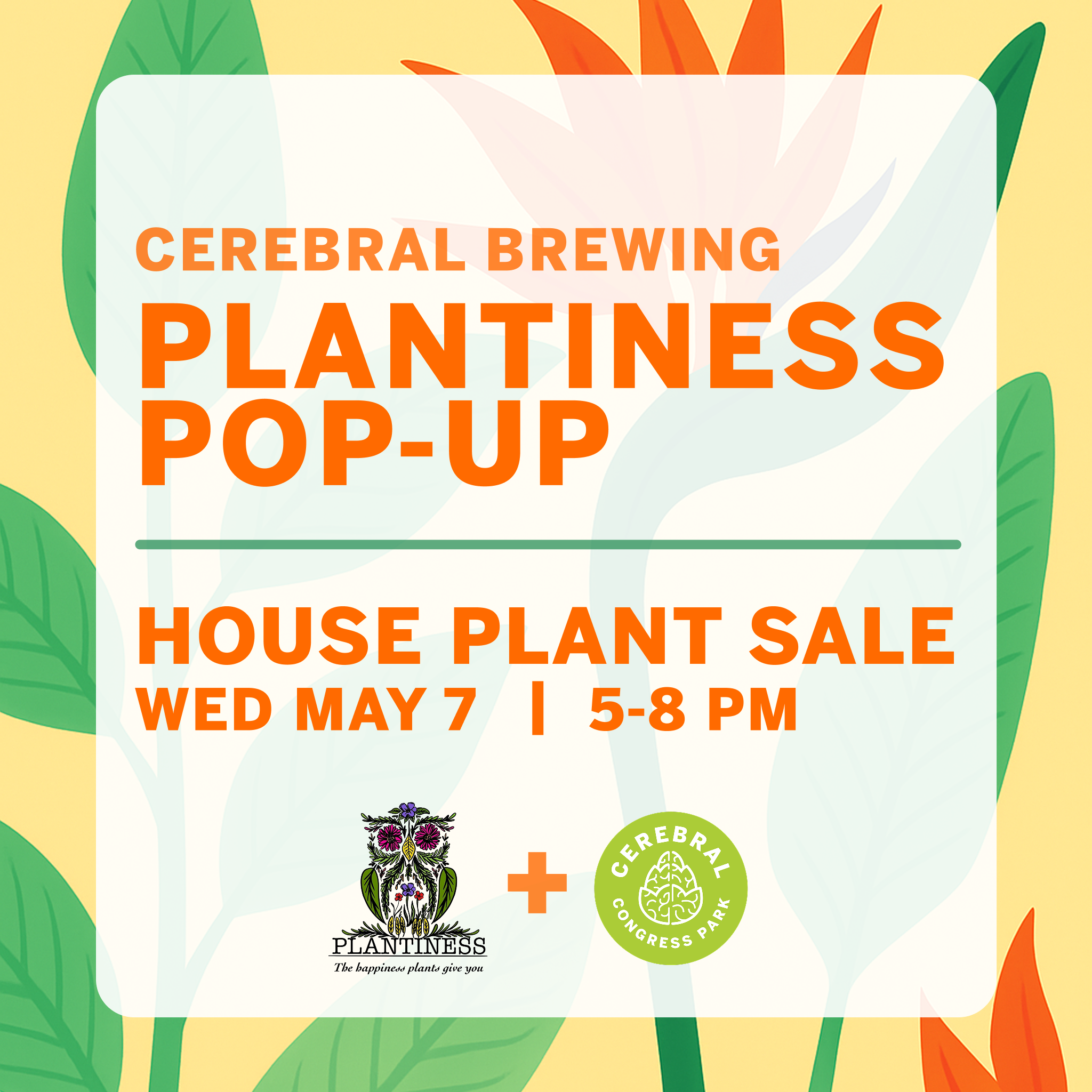 Plantiness Pop Up