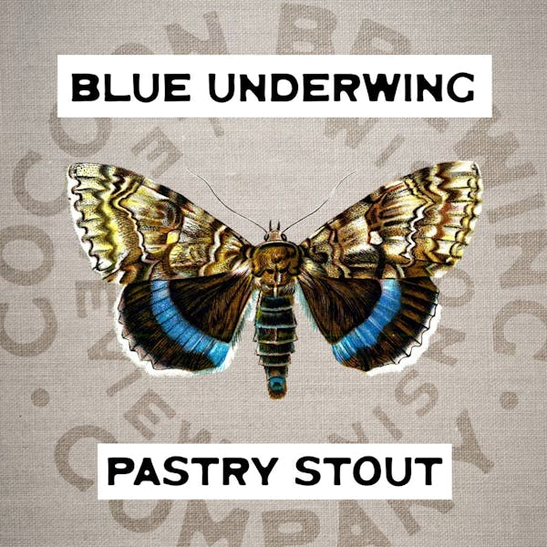 Blue Underwing Blue Underwing