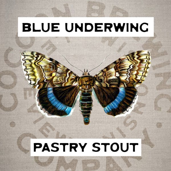 Image or graphic for Blue Underwing