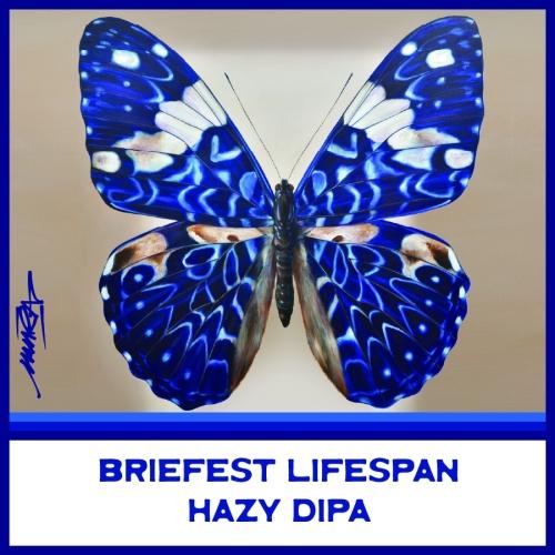 Briefest Lifespan