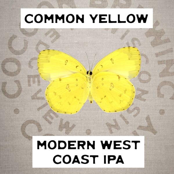 Image or graphic for Common Yellow