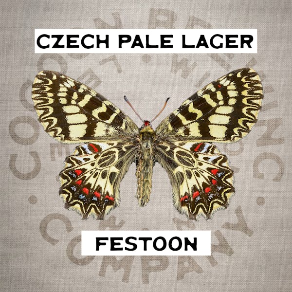 Festoon Festoon